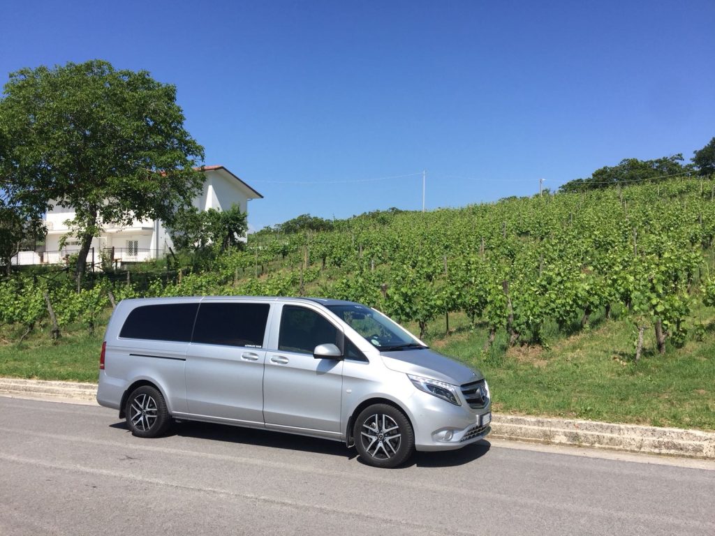 day wine testing with van tour